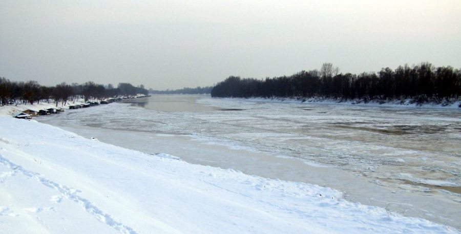 Zale�ena Sava 2012